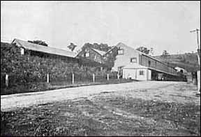 Cellars at Auldana Vineyard